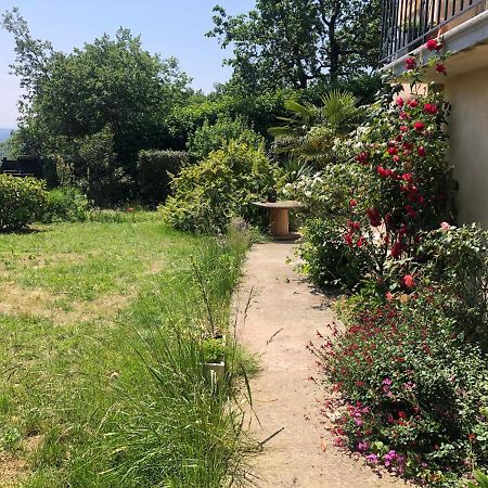 Le Jardin Suspendu Apartment Rillieux-la-Pape Ngoại thất bức ảnh
