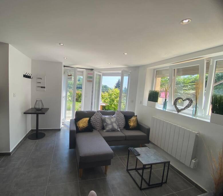 Le Jardin Suspendu Apartment Rillieux-la-Pape Ngoại thất bức ảnh