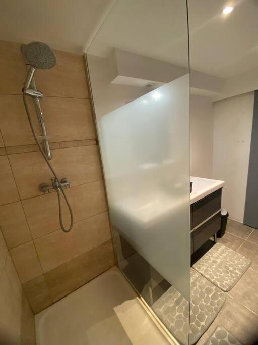 Le Jardin Suspendu Apartment Rillieux-la-Pape Ngoại thất bức ảnh